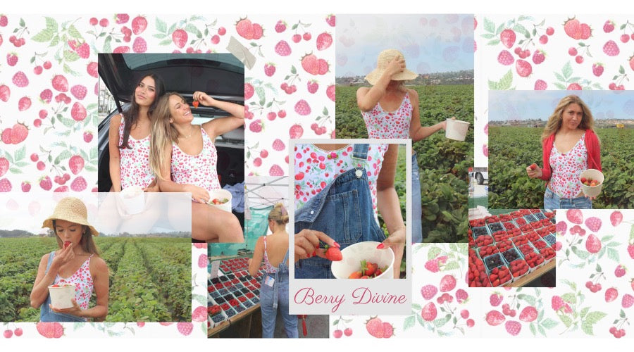 A Top Pick! | BERRY DIVINE ONE PIECE